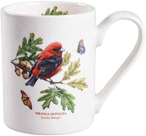 Портмеирион Ботаничка градинарска птици колекција кафе кригла | 12 унца | Западен мотив на Bluebird | Фино земјена софтвер | Голема
