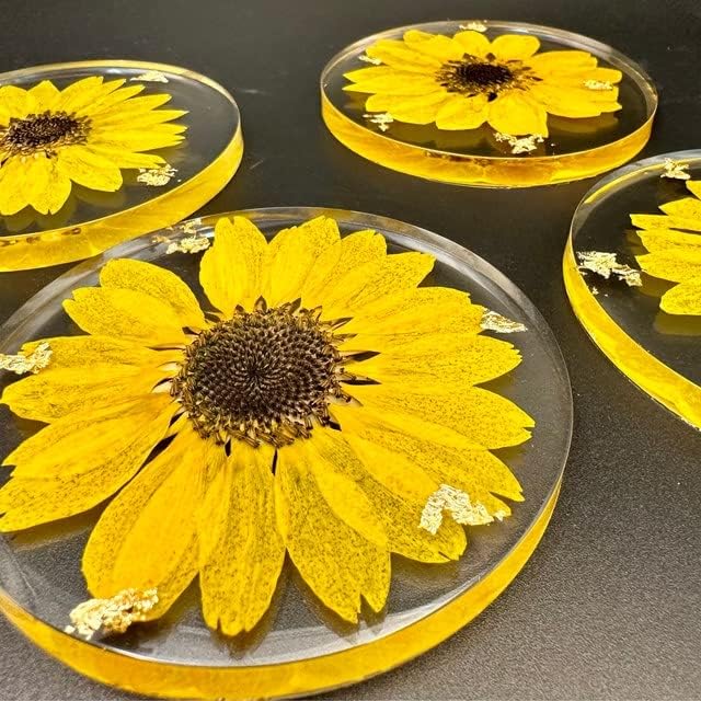 Мејхаус притисна сушен сончоглед за флорална уметност занаетчиска смола