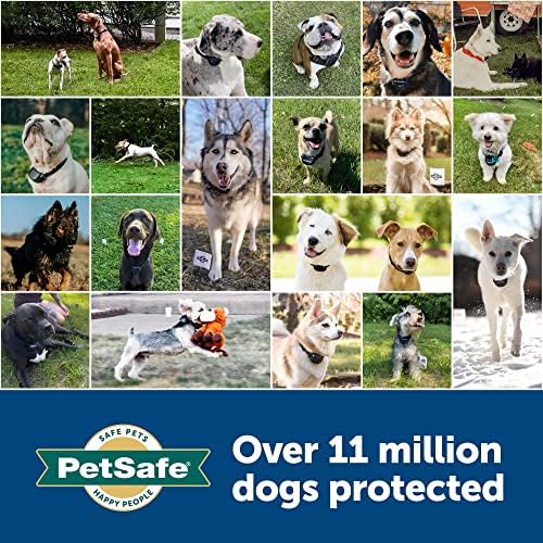 PetSafe останете и играјте безжична ограда со заменлива јака за батерии за кучиња