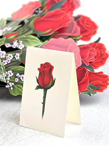 Freshcut Pop Up Cards, англиски нарциси + црвени рози, сет од два 12 инчи животна големина засекогаш цветни пукани букети 3Д скокачки годишнини