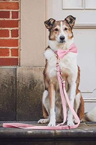 Јака од мека кожна кучиња - прилагодлива симпатична лак јака од лак [лесен за чистење] со стилско розово злато тешка метална тока