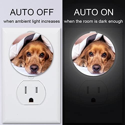 2 приклучок за приклучок за ноќно светло LED ноќно светло со сензор за самракот до зори за детска соба, расадник, кујна, кученце кученце на кучиња