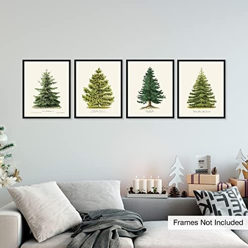 Goldie Days 4 отпечатоци од бор од бор, 8 x 10, зимски декор, гроздобер ботанички отпечатоци од елки за елки [нерасположени]