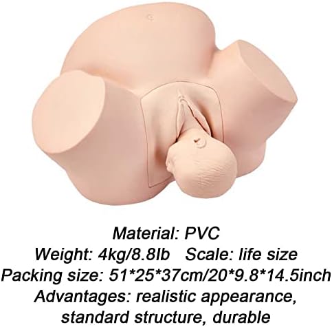 KCVC Симулатор за породување на породувањето Модел на демонстрација со модел на фетусот и анатомски детали за големината на животот