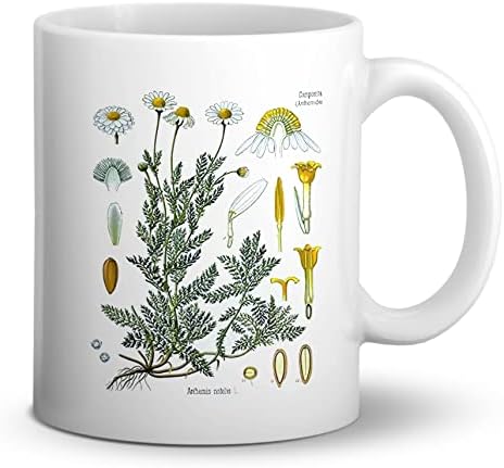 Дотаин гроздобер ботаничка цветна химна римска камилица кафе, 11 унца двострана керамичка чаша за чај за кафе, подарок за loversубители на цвеќиња