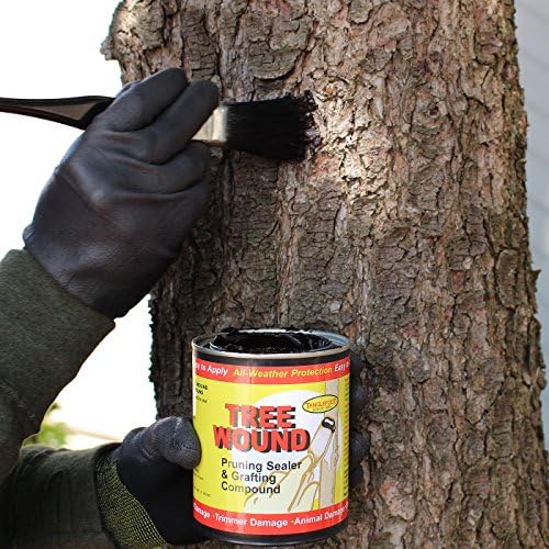 Заптивната смеса за градинарски рани од дрво и соединение за калемење