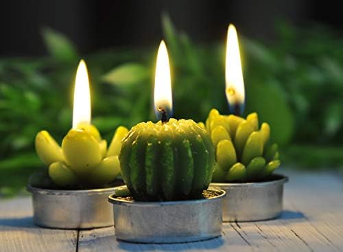 Ла Белефе Чај светла Свеќи Подарок Сет, Кактус Терариум Свеќа Деликатни Сочни Рачно Изработени Слатки Мали Свеќи За Подароци За Домашни Растенија,