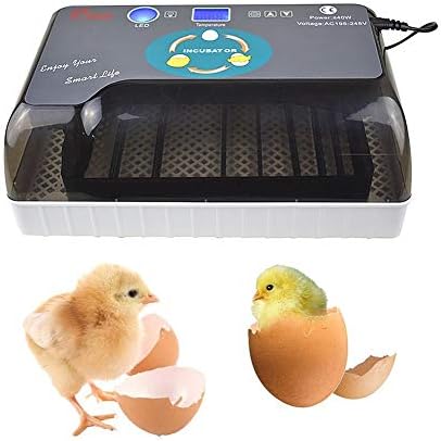 АЛРЕМО 103234536 12 инкубатор на јајца, мини автоматска интелигентна контрола на влажноста на температурата за пилешко гуска