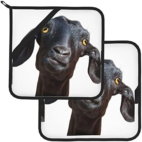 Симпатична црна коза животно 8 инчи и 8 -инчен дијаметарски изолиран тенџере со тенџере, фино изработка, водоотпорна ткаенина, полесно