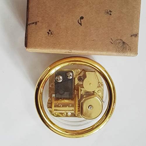 Fnly 18 белешки креативна ветерна акрилна пластика Транспарентна музичка кутија со движење со злато во, разни форми музичка кутија, го оставив