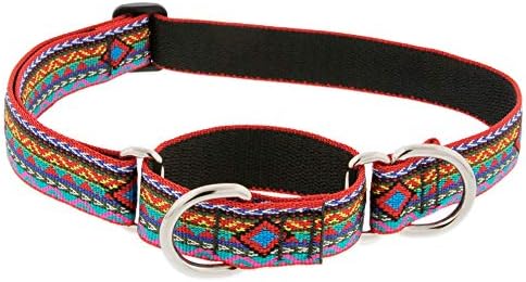 Јака За Кучиња јаже кое крепи утлегар Од Лупин 1 Широк Дизајн На Ел Пасо прилагодува 15на 22