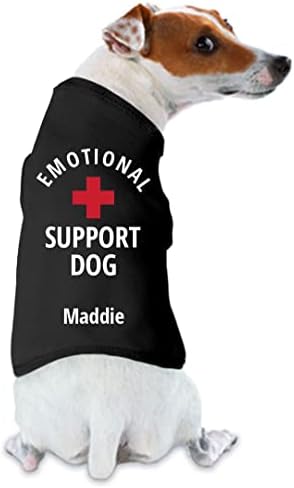 Емоционална поддршка куче Меди: ТОП на резервоарот за кучиња