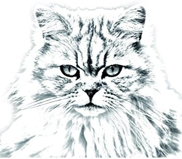 Уметност Куче Оод. Британска Долга Коса, Овална Надгробна Плочка Од керамичка Плочка со Слика на мачка