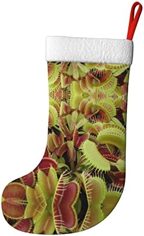 Елбул ги персонализирал Божиќните чорапи, месојадно растение Божиќно порибување за семејни празнични украси за забава