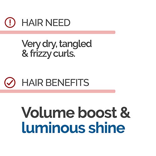 NOVEX: Третман на климатизери на My Curls Movie 10.1oz/ 300ml - бесплатен шампон за сулфат за суви, досадни и оштетени кадрави влакна. Нанесена со мешани масла за повеќе помека коса