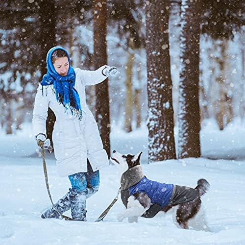 Зимски палта на кучињата ЕМСТ, реверзибилни кучиња од руно за мали кучиња зима, ветровито на топло кучиња за мали кучиња за зима, XS