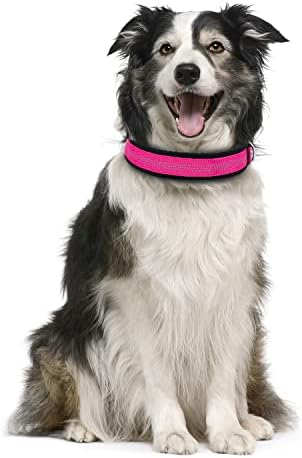 Tdtok Soft Neoprene Padded Dog Coock, прилагодлива трајна најлон јака за кучиња за мали средни големи кучиња, дишење тешки рефлектирачки