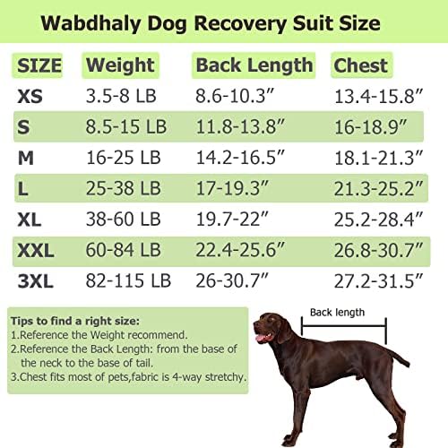 Обнова за опоравување на хирургија на кучиња Wabdhall