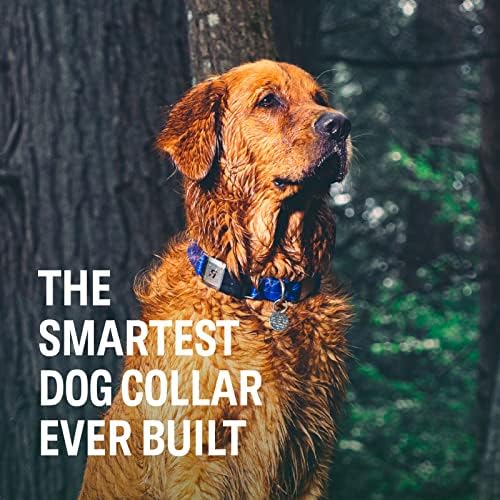 Fi Smart Dog Cooch - GPS Tracker и монитор за активност и фитнес, водоотпорна, LED светлина, сигнали за бегство, покриеност на национално ниво