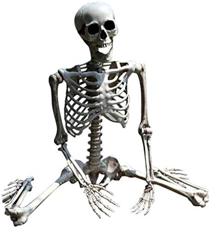 Скелет со големина на живот на Ноќта на вештерките - Ноќта на вештерките Човечки скелети целосни коски на телото со подвижни зглобови за реквизити