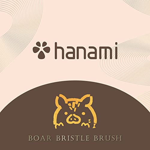Hanami Boar Bristle Roll Round Chrush Brush Brush Bristle Chruse природна четка за коса за стилизирање, одвојување, обликување и
