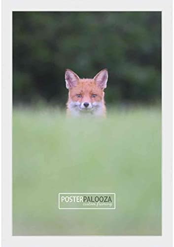 Постер Палооза 9x11 Современа рамка за слика на бело дрво - УВ акрилик, поддршка од табла за пена и вклучен хардвер за виси!