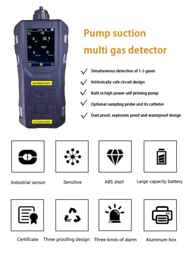 2 во 1 преносен детектор за пумпање на гас за биогас анализатор CO H2S