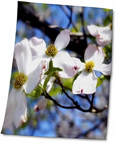 3дроза Протокот На Дренка е гранка исполнета со цветови од дренка-Крпи
