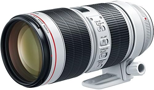 Canon EF 70-200mm f/2.8 L Е III USM Објектив За Канонски Дигитални SLR Камери, Вајт-3044C002