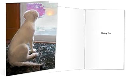 Поздравни картички на кучињата на Трог, Златни ретривер: Златни моменти