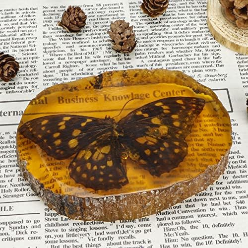 Јолуфер килибарски инсекти фосили вештачки килибарски инсект примерок од приврзок килибарски камен украс за собирање пеперутка