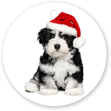Kidfair Среќен Божиќен украс 2021 Божиќно дрво што виси декор куче Божиќна капа