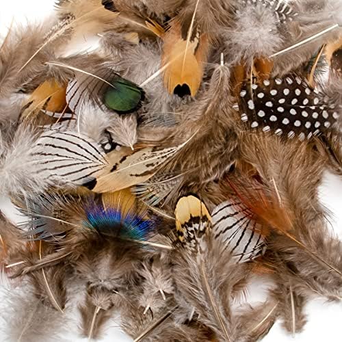 Квинсбокс 20 парчиња природен паун пердув, фазан перница за DIY занаетчиски костумски сон на соништата свадбени фестивал, 09