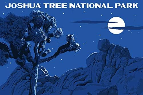 Национален парк Lantern Press Joishua Tree, Калифорнија, ноќна сцена, WPA